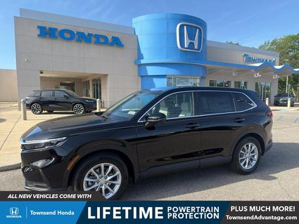 2026 Honda CR-V Tuscaloosa AL