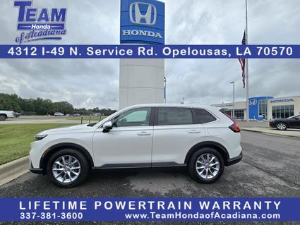 2026 Honda CR-V Opelousas LA