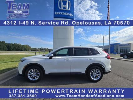 2026 Honda CR-V Opelousas LA