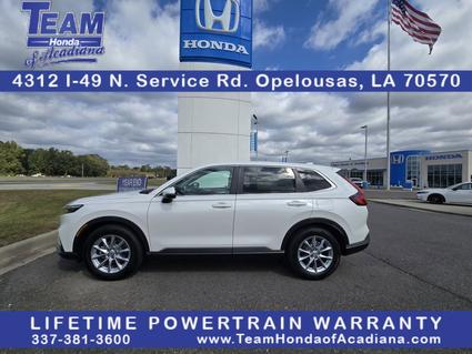 2026 Honda CR-V Opelousas LA