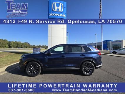 2026 Honda CR-V Opelousas LA