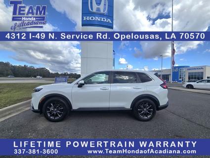 2026 Honda CR-V Opelousas LA