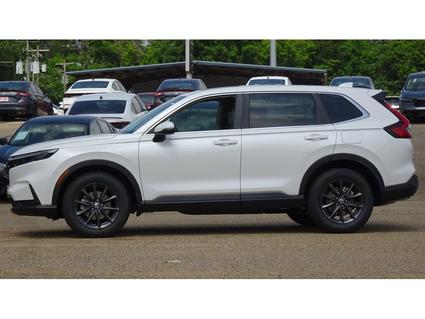 2026 Honda CR-V Tupelo MS