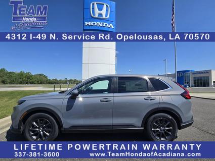 2026 Honda CR-V Opelousas LA