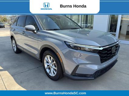2024 Honda CR-V Orangeburg SC