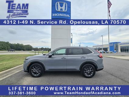 2026 Honda CR-V Opelousas LA