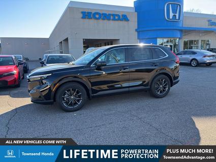 2026 Honda CR-V Tuscaloosa AL