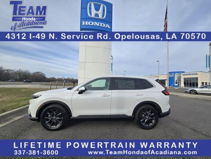 2026 Honda CR-V Opelousas LA