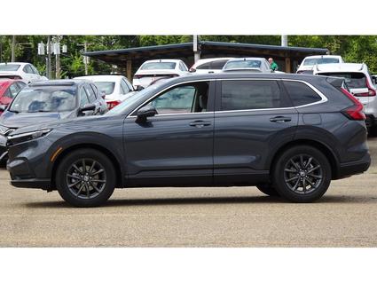2026 Honda CR-V Tupelo MS
