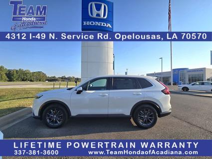 2026 Honda CR-V Opelousas LA