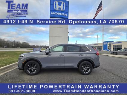 2026 Honda CR-V Opelousas LA