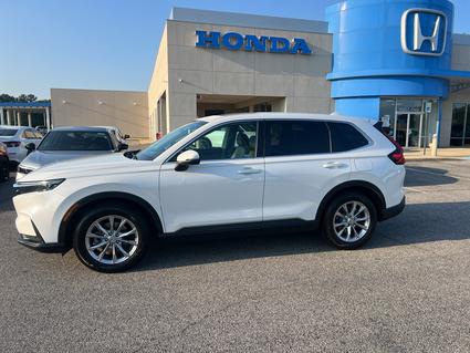2024 Honda CR-V Tuscaloosa AL