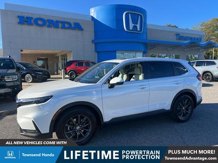 2026 Honda CR-V Tuscaloosa AL