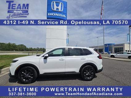 2026 Honda CR-V Opelousas LA