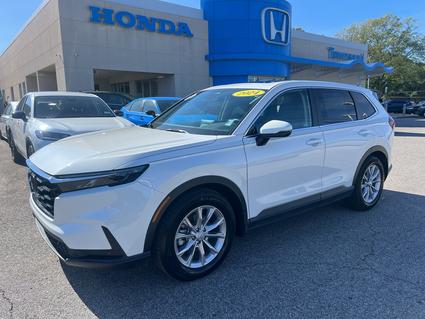 2024 Honda CR-V Tuscaloosa AL
