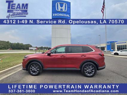2026 Honda CR-V Opelousas LA