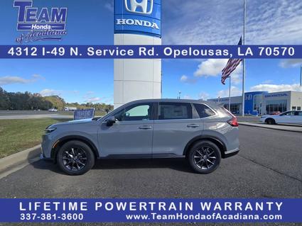 2026 Honda CR-V Opelousas LA