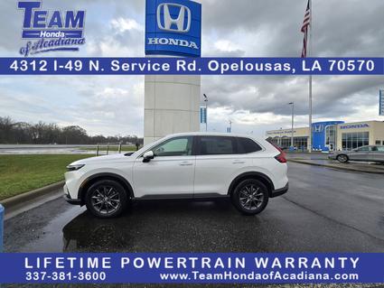 2026 Honda CR-V Opelousas LA