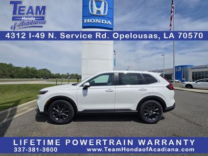 2026 Honda CR-V Opelousas LA