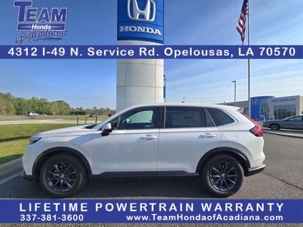 2026 Honda CR-V Opelousas LA