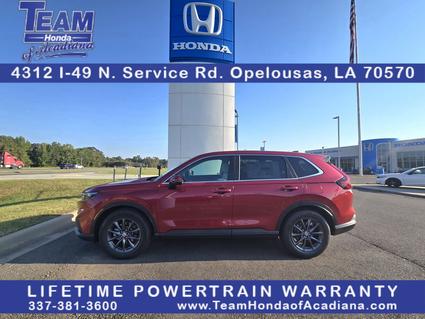2026 Honda CR-V Opelousas LA