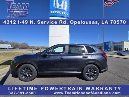 2026 Honda CR-V Opelousas LA