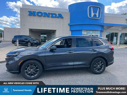 2026 Honda CR-V Tuscaloosa AL
