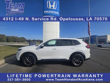2026 Honda CR-V Opelousas LA