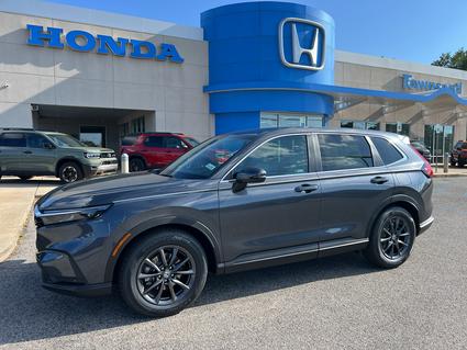 2026 Honda CR-V Tuscaloosa AL