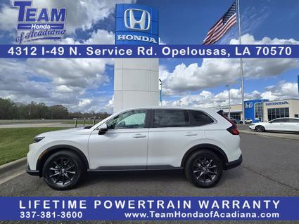 2026 Honda CR-V Opelousas LA