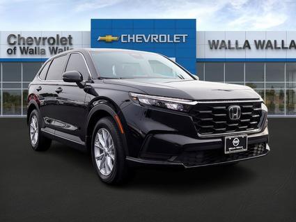 2024 Honda CR-V Pasco WA