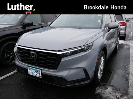 2025 Honda CR-V Minneapolis MN