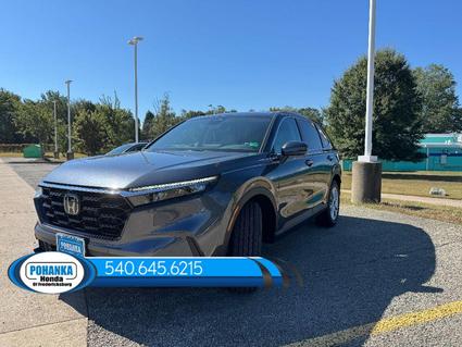 2026 Honda CR-V Fredericksburg VA