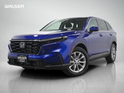 2025 Honda CR-V Minneapolis MN