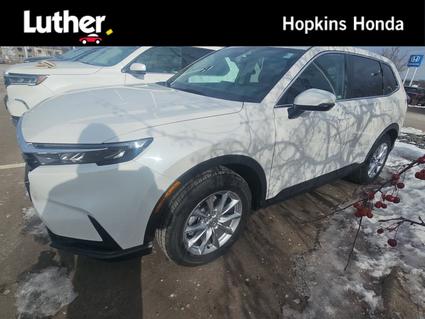 2026 Honda CR-V Hopkins MN
