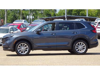 2023 Honda CR-V Tupelo MS