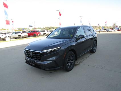 2026 Honda CR-V Effingham IL