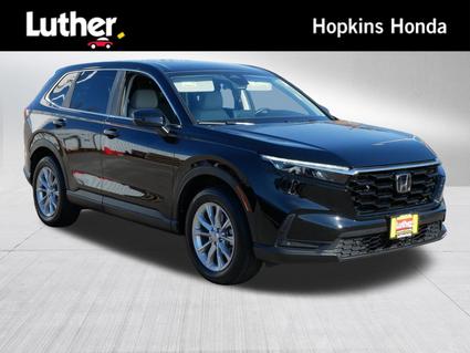 2025 Honda CR-V Hopkins MN