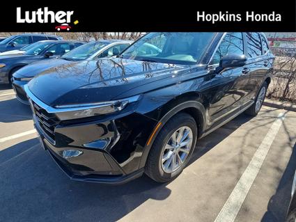 2025 Honda CR-V Hopkins MN