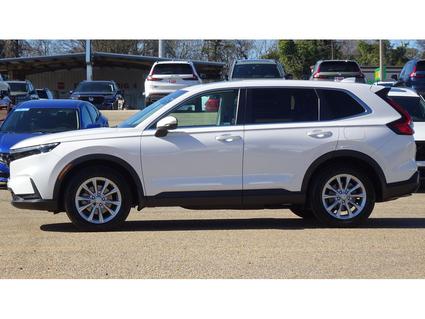 2023 Honda CR-V Tupelo MS