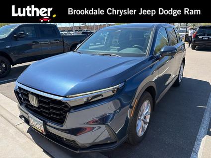 2024 Honda CR-V Minneapolis MN