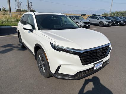 2026 Honda CR-V Bozeman MT