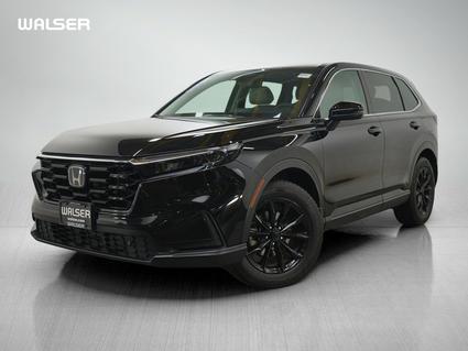 2024 Honda CR-V Burnsville MN