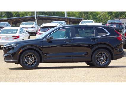 2026 Honda CR-V Tupelo MS