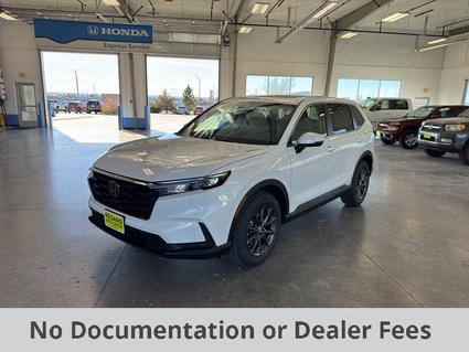 2026 Honda CR-V Scottsbluff NE