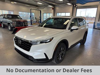 2026 Honda CR-V Scottsbluff NE