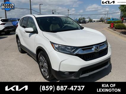2019 Honda CR-V Nicholasville KY