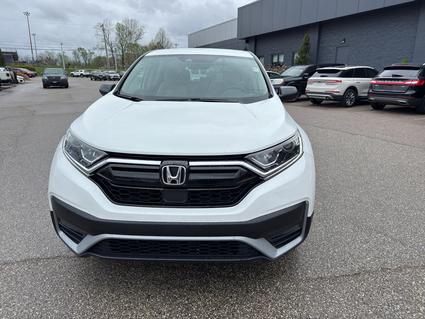 2020 Honda CR-V Bloomington IN