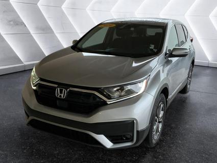 2020 Honda CR-V Evansville IN