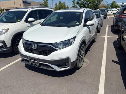 2022 Honda CR-V Loveland CO